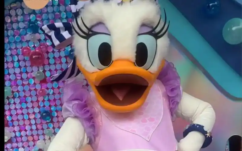 【日常迪士尼逗乐】daisy女神 获得冠军【唐老鸭】【黛西】_哔哩哔哩