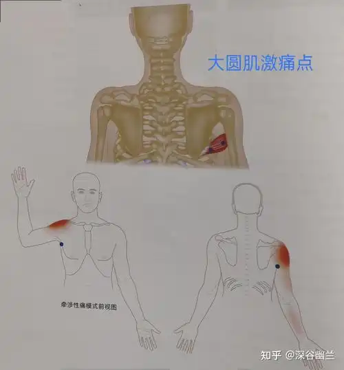 后肩部疼痛的居家调理