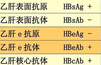 乙肝病毒dna检测结果差异