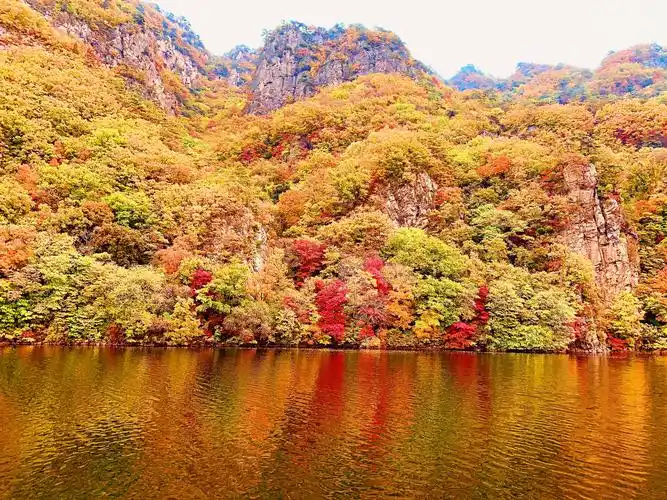 关门山国家森林公园是本溪市三大枫叶观赏地之一,其山景,溪景,湖景