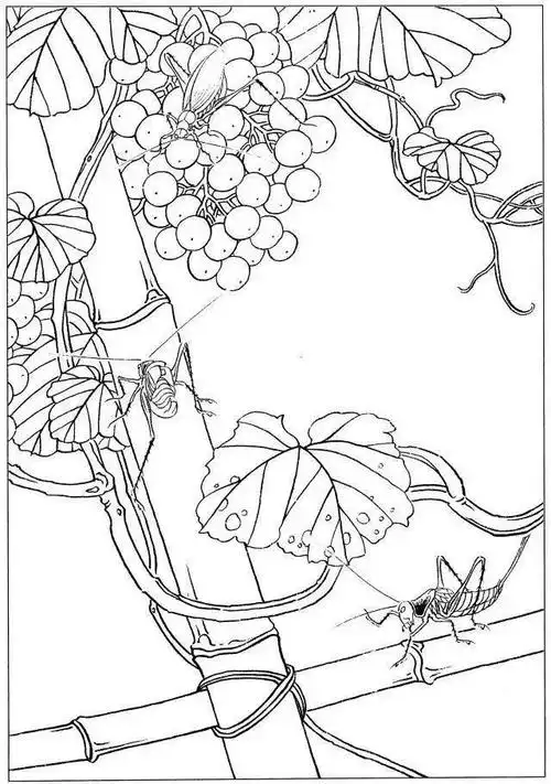 工笔画勾线笔 工笔画套笔 工笔画套装  高清电子图库  工笔画白描 你