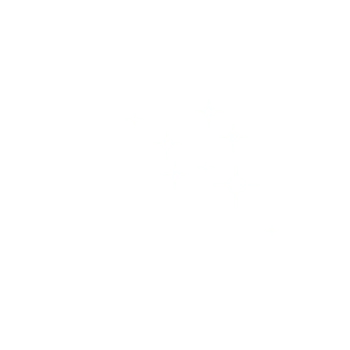 华丽闪光点装饰