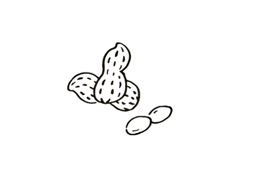 好吃的花生简笔画
