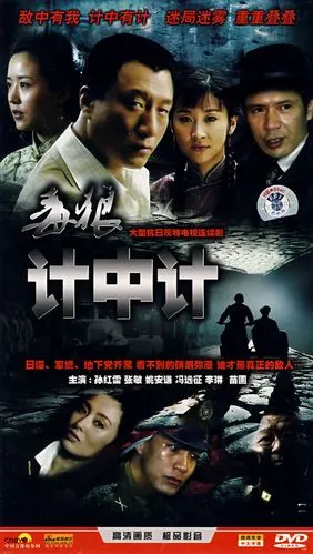 大型抗日反特电视连续剧毒狼计中计7dvd