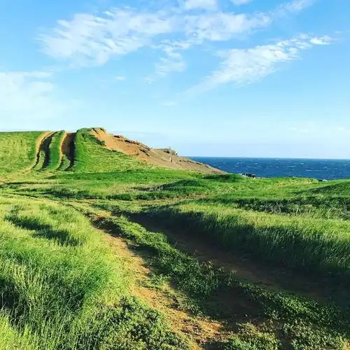 我和闺蜜正好在夏威夷,决定去看看世界上罕有的绿色沙滩之一,于是我们