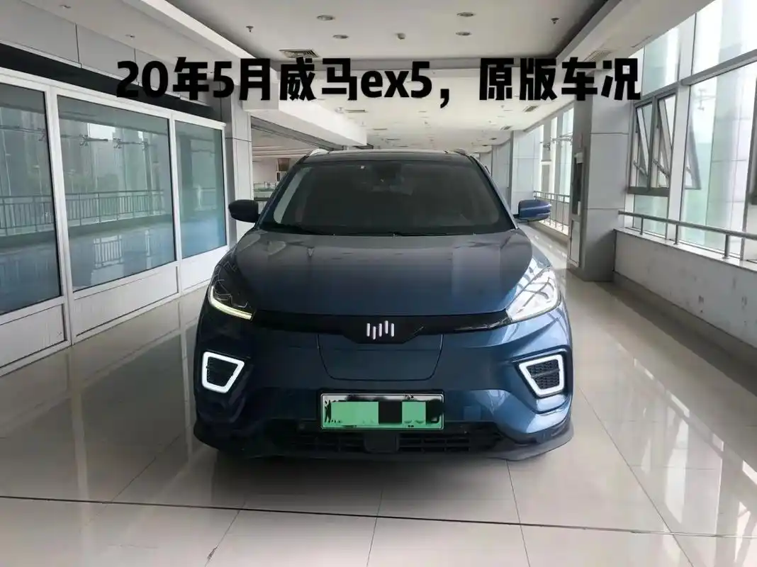 8万,按揭首付8000.20年5月威马ex5上牌日 - 抖音