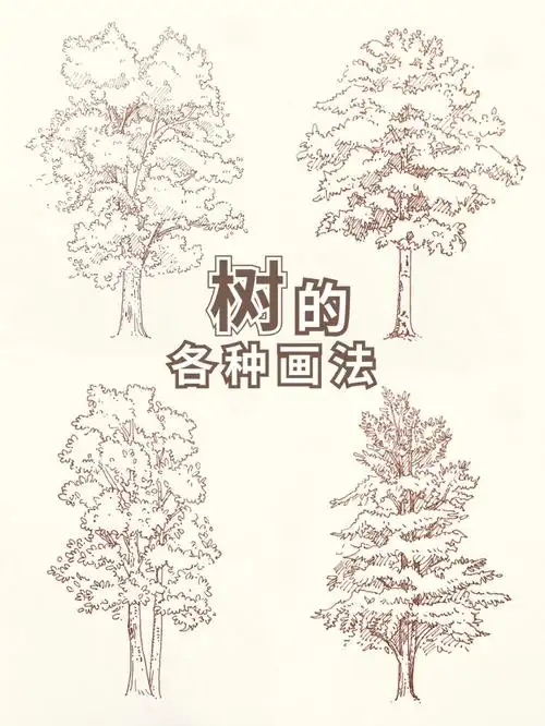钢笔速写566棵树的线稿分享73简单又好看