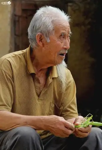 白族老人 - 诠摄汇