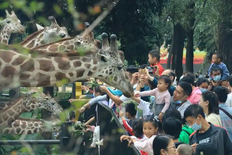 重游广州动物园
