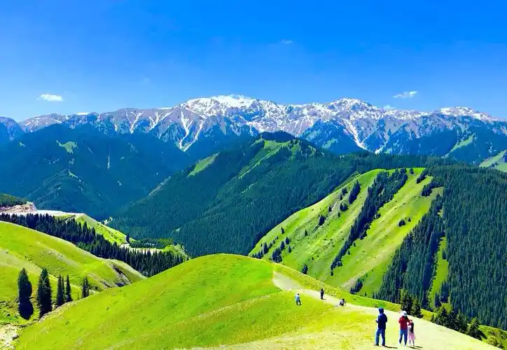 伊犁果子沟手机拍摄