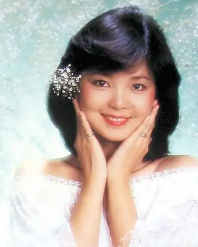 邓丽君邓丽君合集105cd