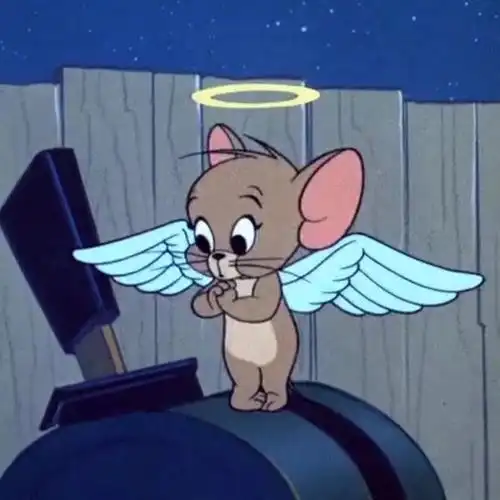 jerry表情包求个原图已求到