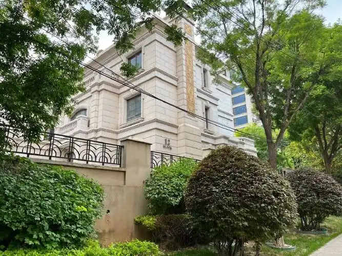 新上别墅长风东复地东山国际600平联排独栋大院别墅停车方便