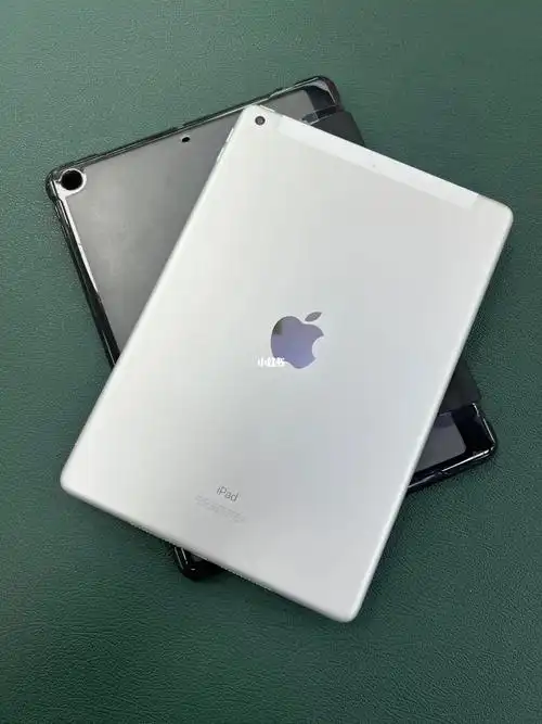苹果ipad2020款102寸插卡版本全网通128gb