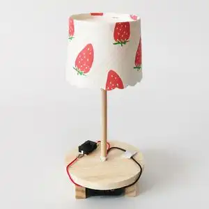 diy台灯科技制作小发明材料科学实验玩具通用技术废物利用作业