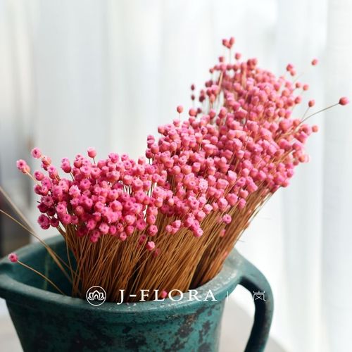 巴西快乐花小花束迷你进口干花真花艺术diy装饰件拍照道具干燥花