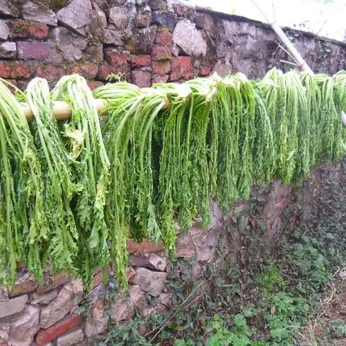 江西特产新鲜梅干菜扣肉农家干货雪里蕻古法自制免洗梅菜干霉干菜