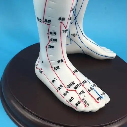 模型硅胶针灸经络穴位推拿按摩教学模型铜人