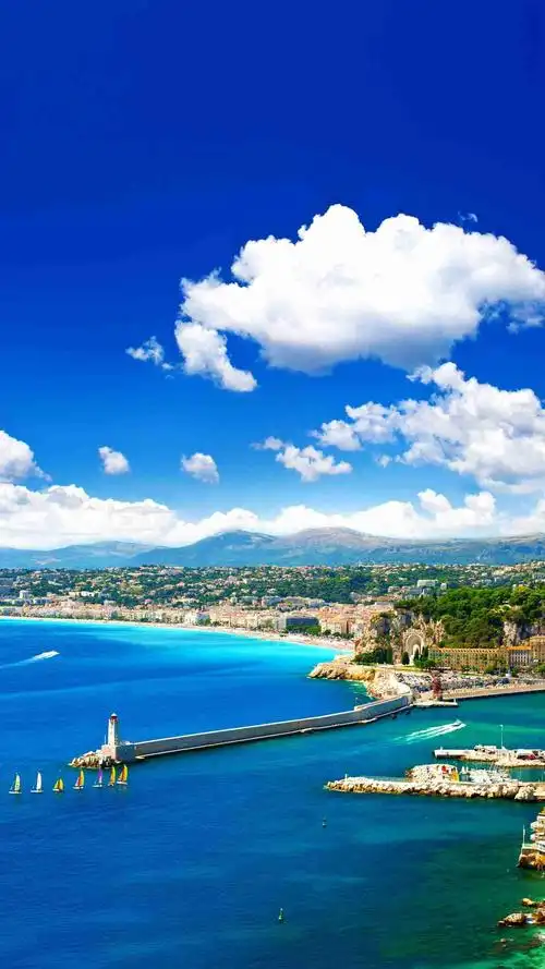 海阔天空一一天高任鸟飞,海阔任鱼游;大自然之大…鸟,却不能在水中游