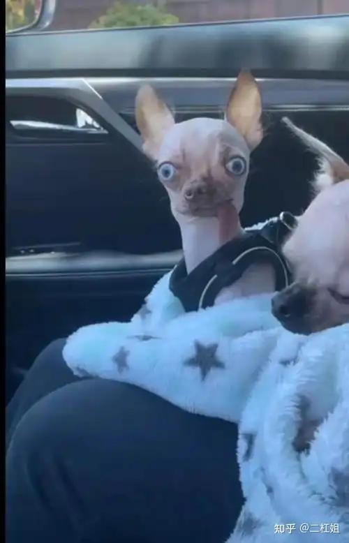 你看过哪些让人笑喷的搞笑图片?(十四)