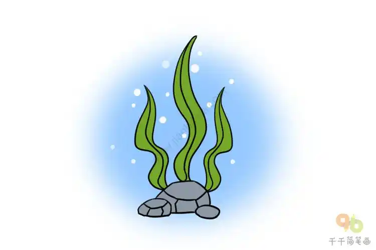 海带简笔画步骤图