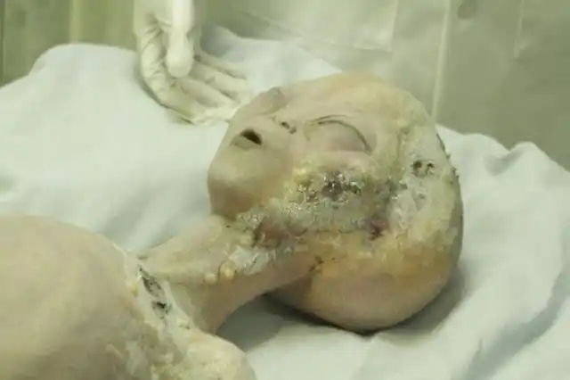 你真相信外星人存在吗?