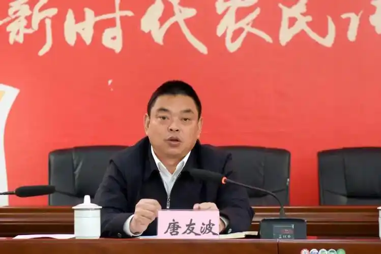 深入学习贯彻省第十三次党代会精神唐友波到齐伯镇桃花湖村宣讲省第