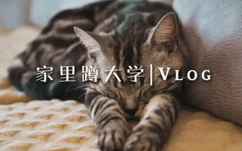 家里蹲大学结课纪念(愿下学期顺利开学)