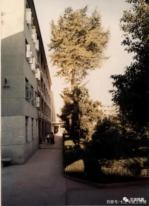 九十年代老学校的老旧回忆