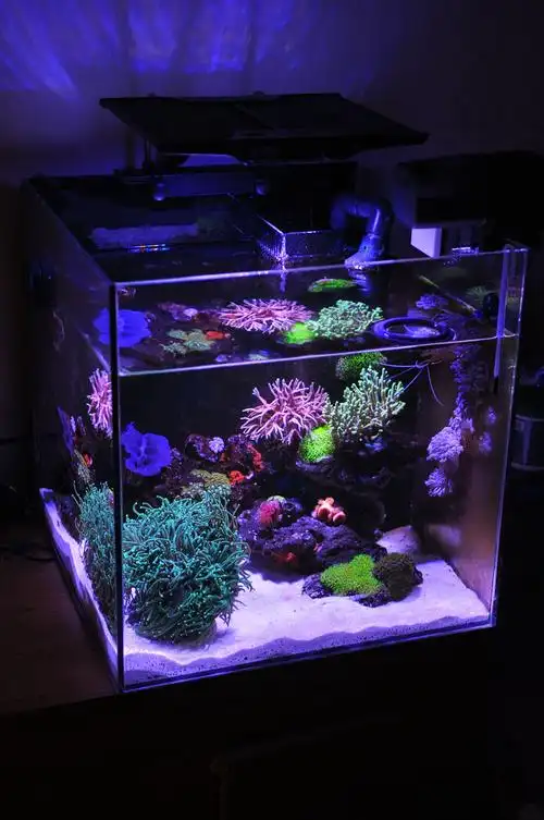 9.18 准备撤缸 ps勿忘国耻)