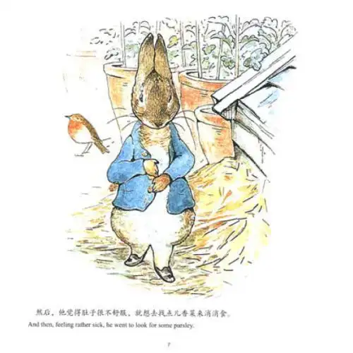 一年级手抄报彼得兔图片简笔画手抄报 手抄报版面设计图-蒲城教育文学