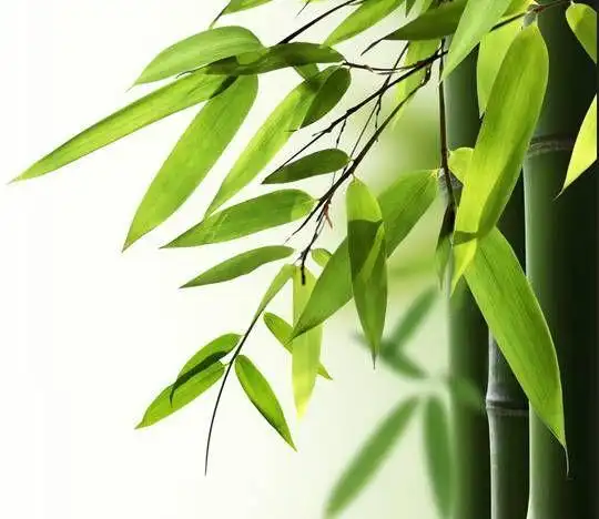 【天然工坊】写给未来健康的一封信!