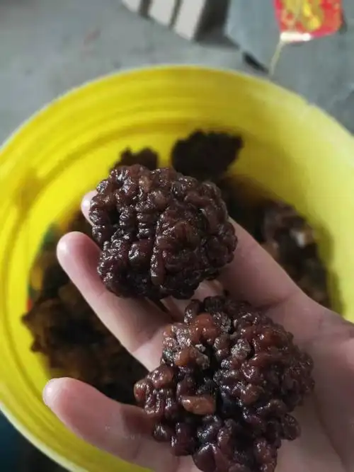 彬州核桃菌销售公司