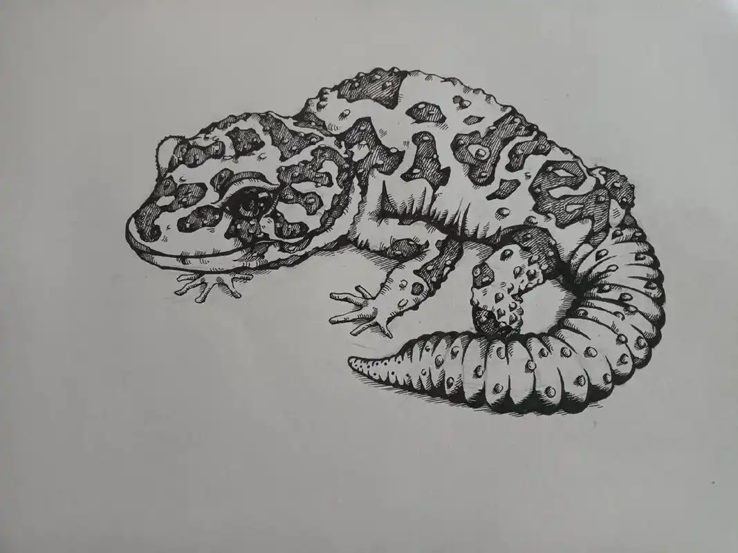 今天是《守宫》 #画画 #黑白 #手绘 - 抖音