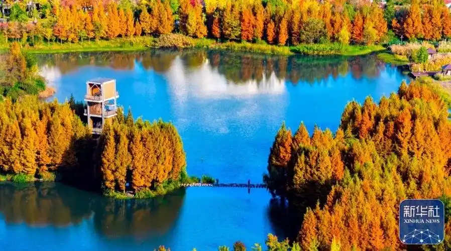 走进六盘水明湖国家湿地公园感受醉美秋韵