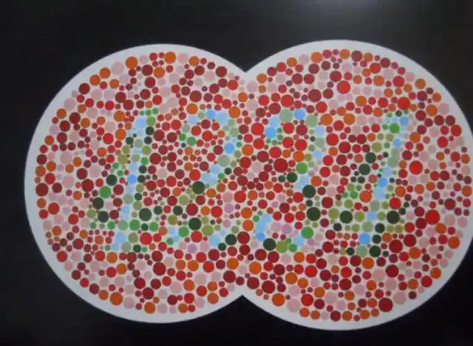 色盲测试图,第一张看不清跟驾照无缘,最后一张能看清就是大神-新浪汽