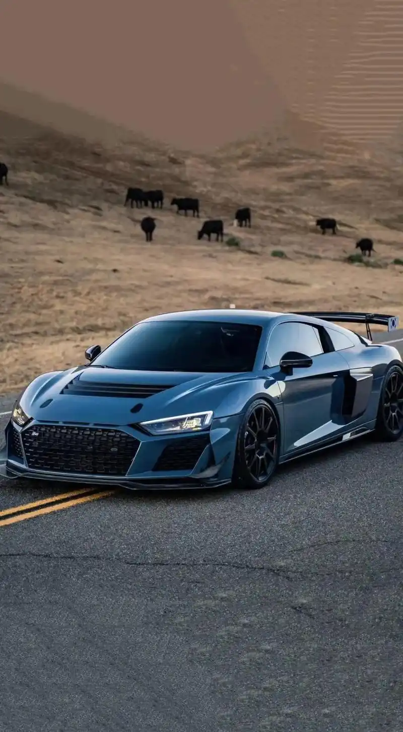 "别回头,身后万家灯火都不是你的归宿"#奥迪r8 #奥迪壁纸 - 抖音