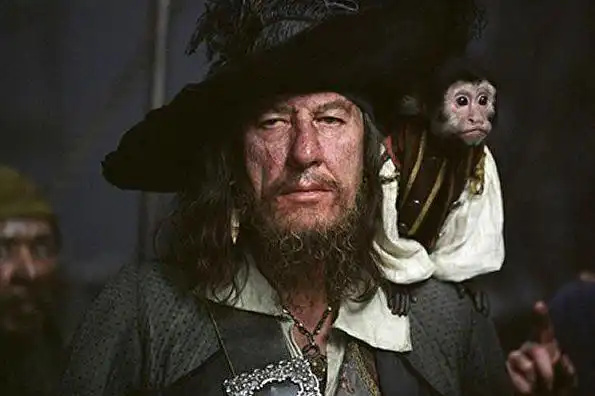 巴博萨船长(美国电影《加勒比海盗》中的角色)_摘编百科