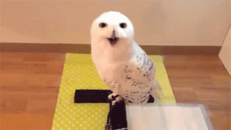 高手,这身手我服我后面那个扔雪的,活该你单身一辈子这特么还是猴子吗