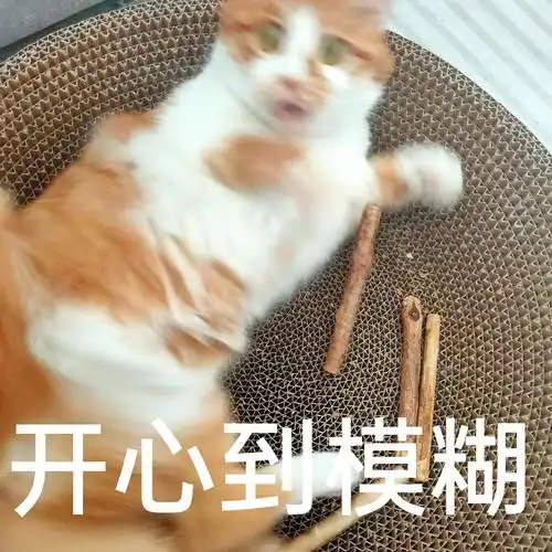 啃木天蓼棒的快乐  开心到模糊