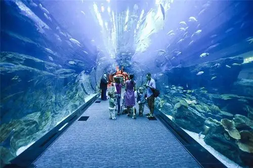 海洋馆施工万龙鱼缸在线咨询苏州海洋馆