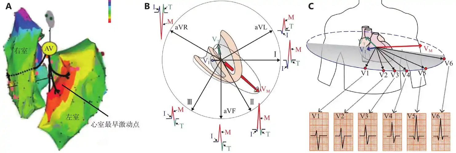基于心电向量理论的启发式心电图教学