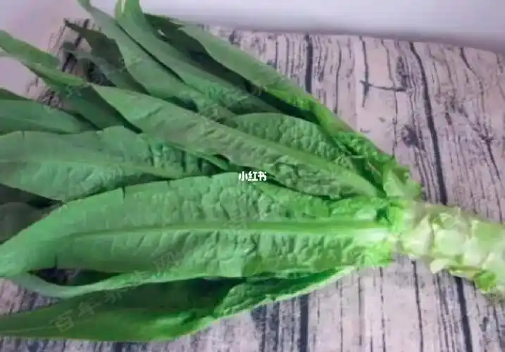 莴笋叶和油麦菜