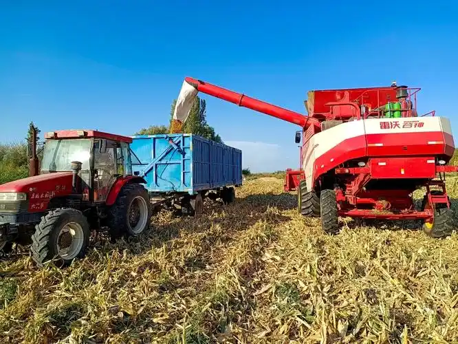 收割机往拖拉机车斗里输送.jpg
