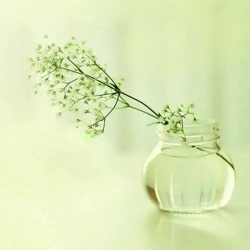 满天星花艺_唯美微信头像图片_扣扣居