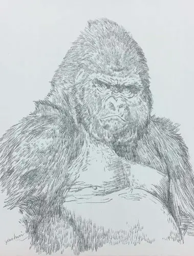 姚慧素描《大猩猩》配内框(有作画过程图)