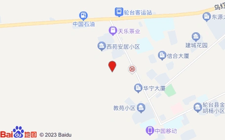 州轮台县博斯坦路与新星路步行街交叉路口往西南约250米位置示意图