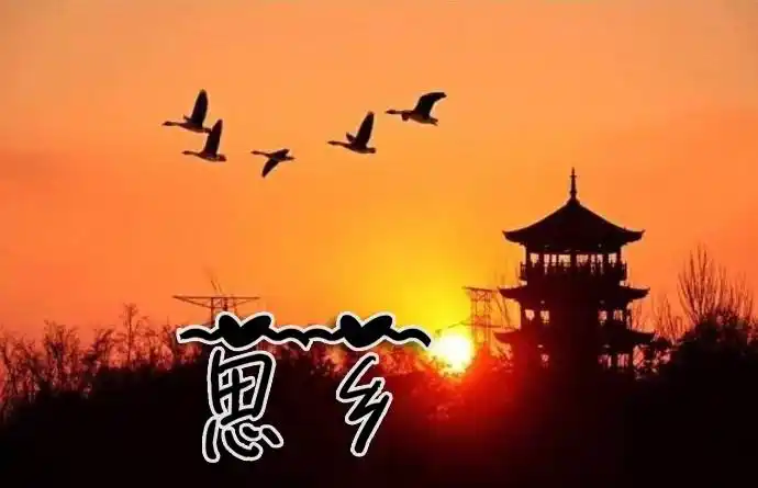 白话文意思:独自远离家乡难免总有一点凄凉,每到重阳佳节倍加思念远方