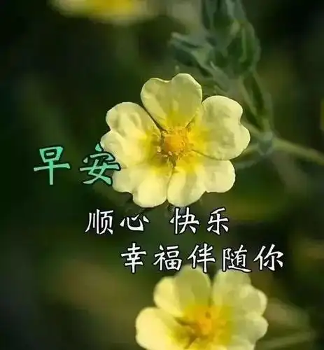早上好的问候美句适合发朋友圈 早安正能量句子