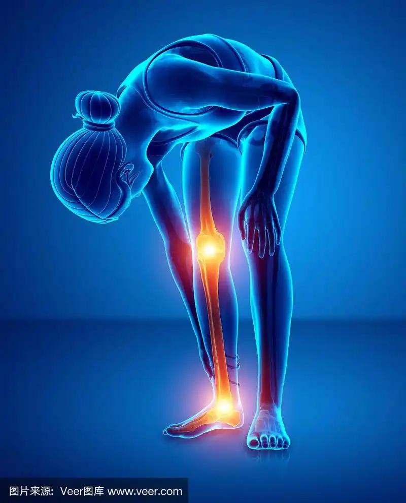 痛苦,腿,膝,踝,生理学